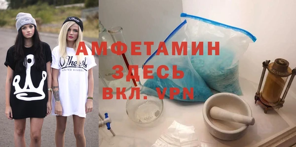 индика Алексин