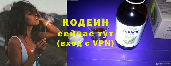 шишки Медвежьегорск