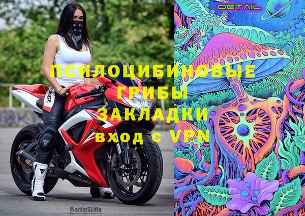 индика Алексин