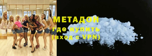 индика Алексин