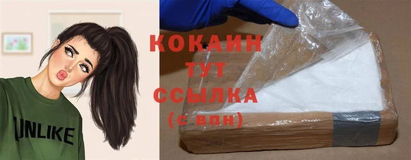 индика Алексин