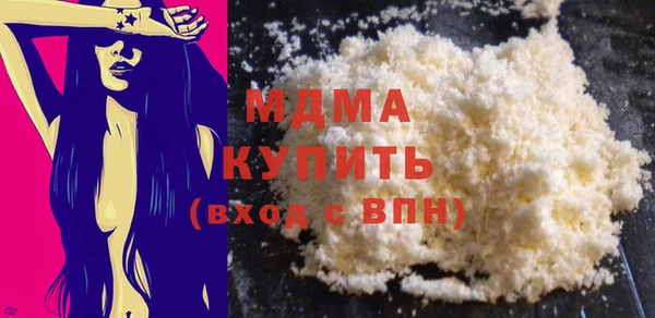 индика Алексин