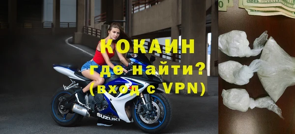 индика Алексин