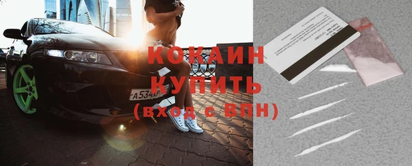 индика Алексин