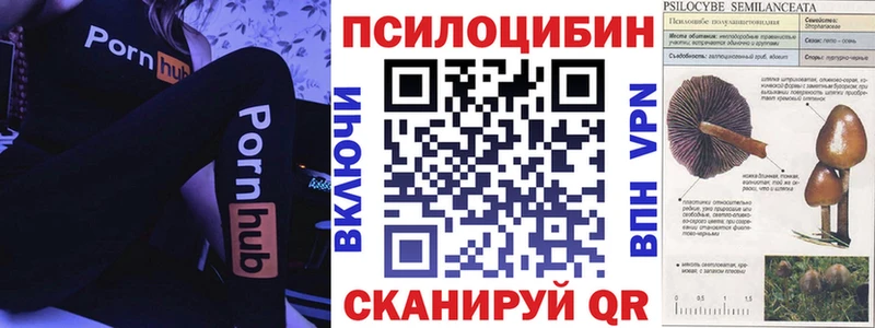 Галлюциногенные грибы Cubensis  МЕГА ONION  Андреаполь 